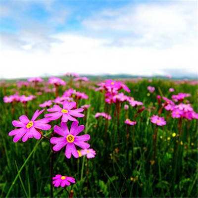 幸运快3在线官网官网网站